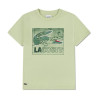 T-shirt en coton imprimé graphique Confortable Sportswear avec Crocodile Brodé LACOSTE vert