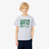 T-shirt en coton imprimé graphique Confortable Sportswear avec Crocodile Brodé-Lacoste  bleu clair